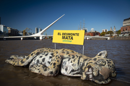 yaguarete.JPG