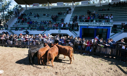 ganaderia3.jpg