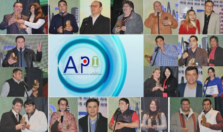 api.jpg
