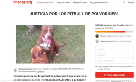 perros.jpg