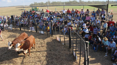 Agronea 2019: remate, novedades en tecnología y firma de convenio