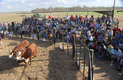 Agronea 2019: remate, novedades en tecnología y firma de convenio
