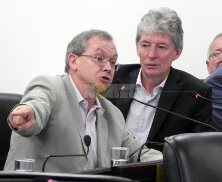 pedrini.jpg