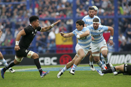 pumas3.jpg
