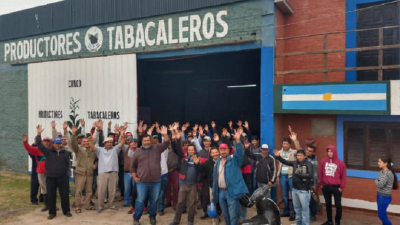 Las vigentes penurias del productor tabacalero