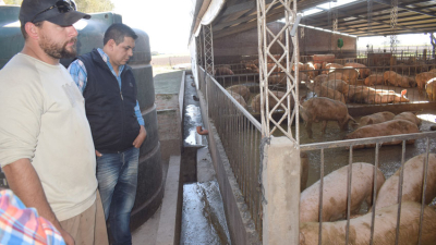 Una experiencia única: bioenergía a partir de los desechos de cerdos