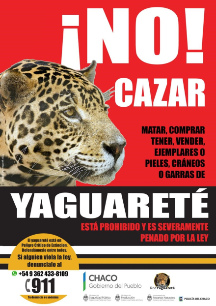 afiche.jpg