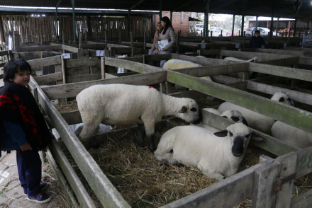 EXPO-RURAL15.jpg