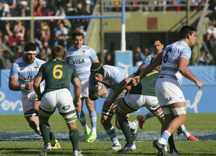 pumas.jpg