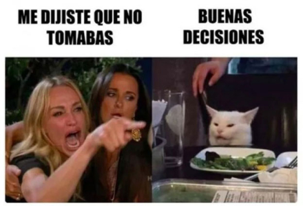 meme-gato2.jpg