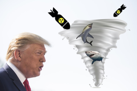 johnson3.jpg