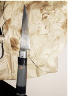 cuchillo.JPG