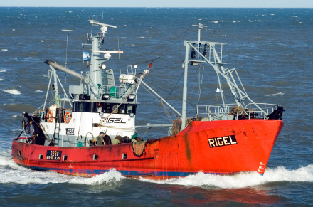 pesca.jpg