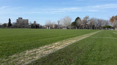 Investigadores de INTA logran biofertilizante que mejora suelo de campos deportivos