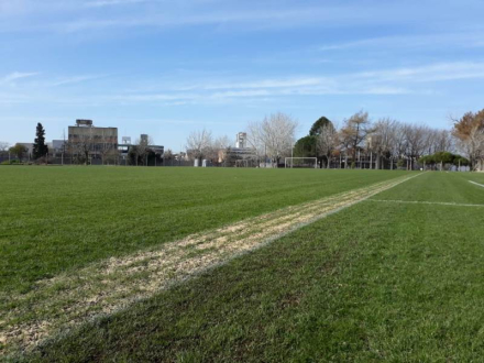 campo de juego.jpeg
