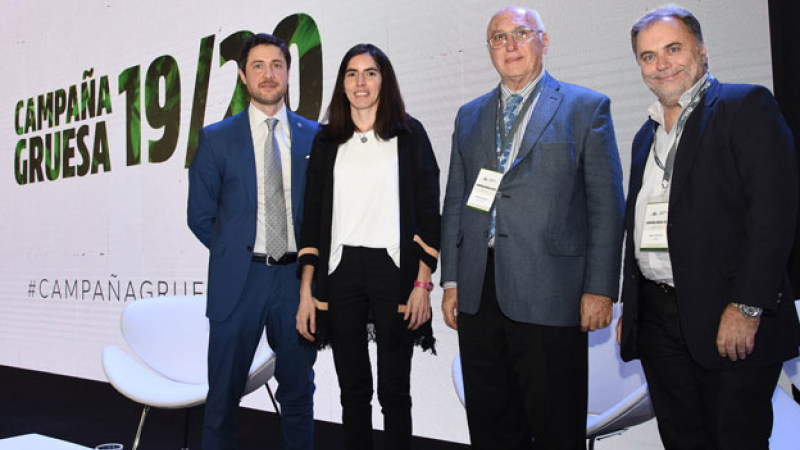 Perspectiva récord: estiman siembra de 34 millones de hectáreas