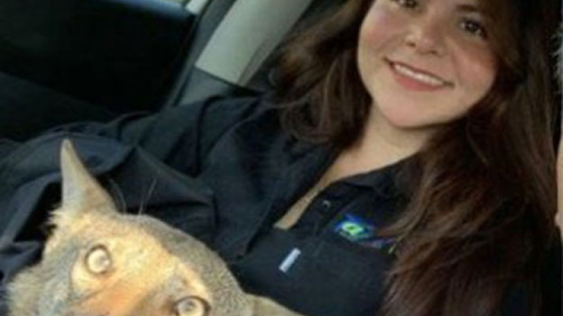 Creyó rescatar a un “perro” pero era otro animal
