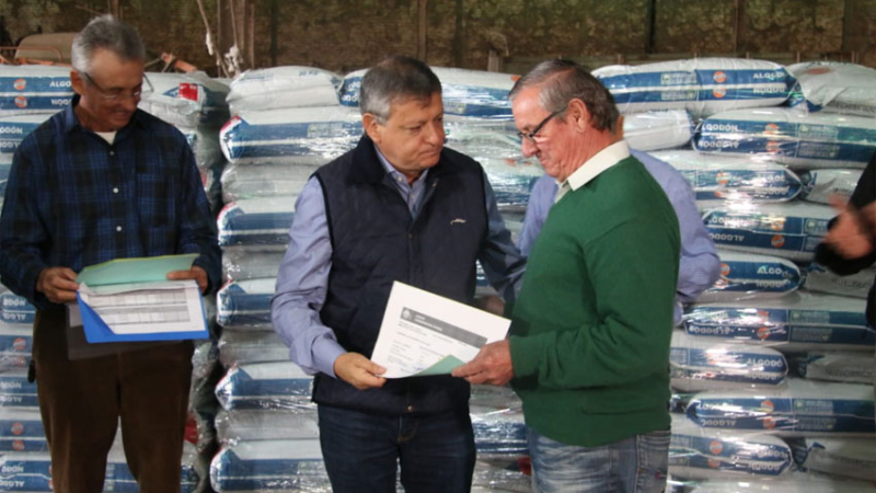 El plan algodonero arranca en Castelli: estiman un área de hasta 200 mil hectáreas, dice Farana
