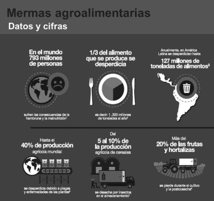 Mermas-alimentarias_Datos-y.jpg
