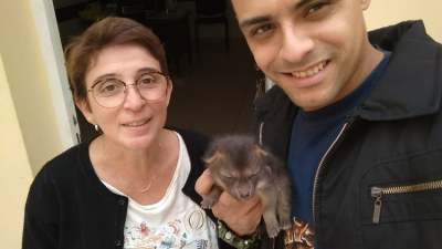 Rescataron una cría de zorro gris en Villa Fabiana ?