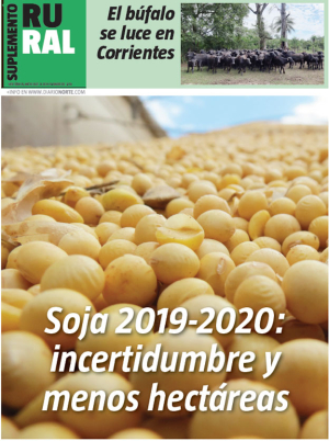 Soja 2019-2020: incertidumbre y menos hectáreas