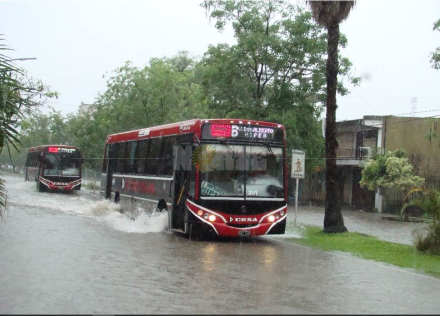 cole lluvia.JPG
