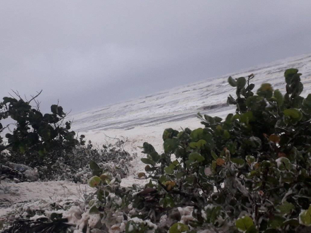 Espuma de mar.jpg