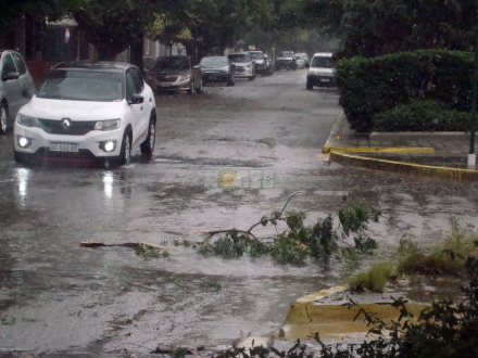 tormenta rama Rcia.jpg