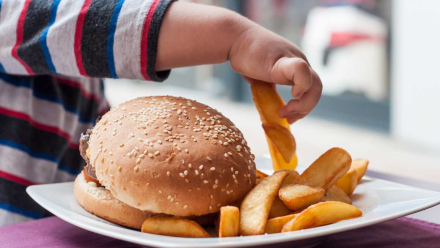 alimentación.jpg