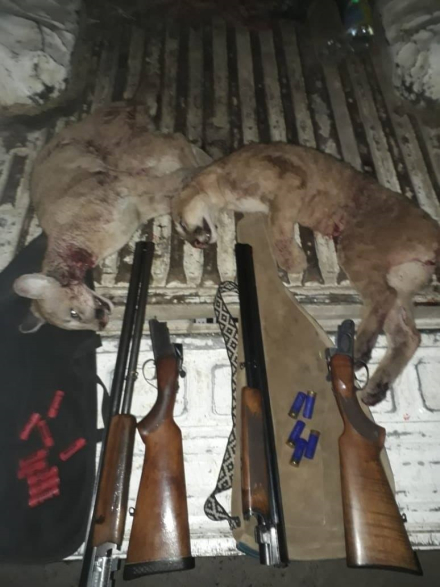 matanza dos pumas.jpg