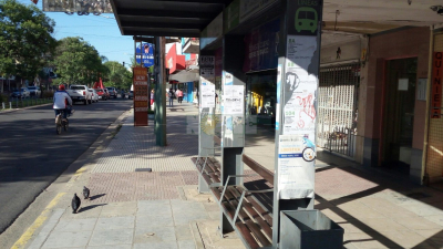 Amenazan con suspender servicios nocturnos de colectivos