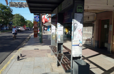 Amenazan con suspender servicios nocturnos de colectivos