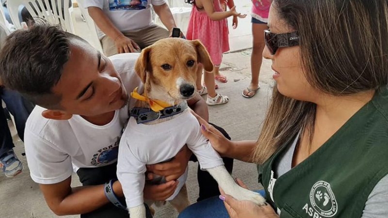 Salvó a su perro de un incendio pero no logró escapar