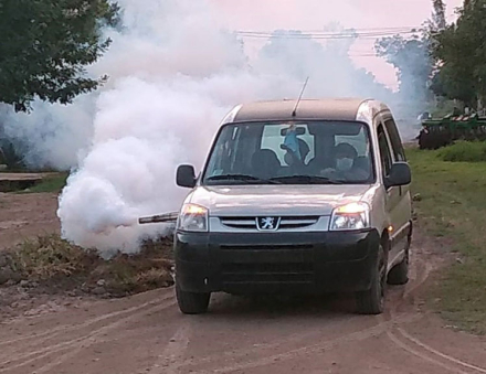 54-FUMIGACION.jpg