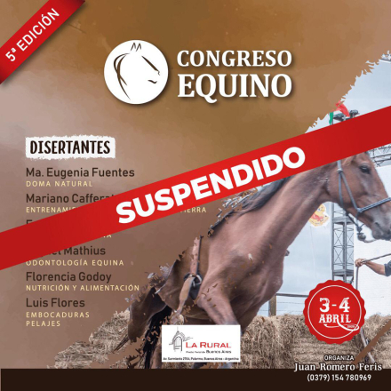 caballos.jpg