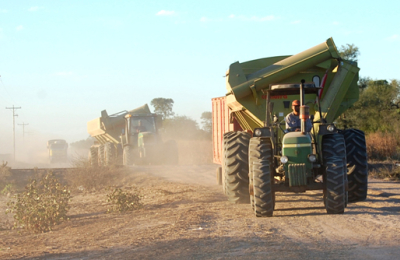 La actividad productiva se mueve con tareas esenciales en el Chaco