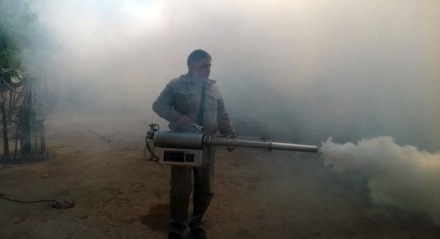 dengue fumigacion.jpg