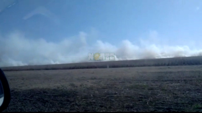 Se incendiaron alrededor de 40 hectáreas de soja en Tres Estacas