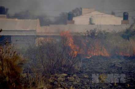 fuego6.jpg