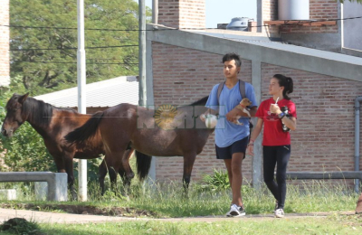 Notable relajamiento en el inicio de la cuarentena “focalizada”