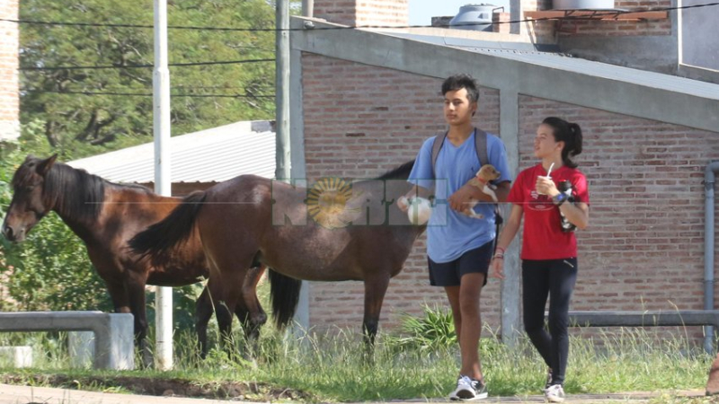Notable relajamiento en el inicio de la cuarentena “focalizada”