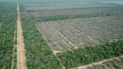 Desmontes en cuarentena: más de 1.400 hectáreas deforestadas en el Chaco