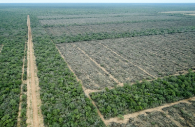 Desmontes en cuarentena: más de 1.400 hectáreas deforestadas en el Chaco