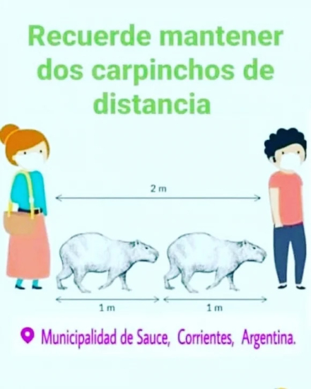carpincho2.jpg