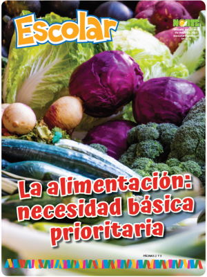 La alimentación: necesidad básica prioritaria
