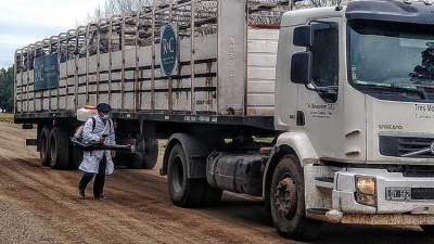Curuzú Cuatiá hará el remate ganadero del centro y sur con estricto control sanitario por covid-19