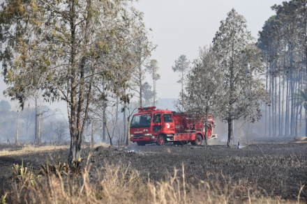 incendio2.jpg