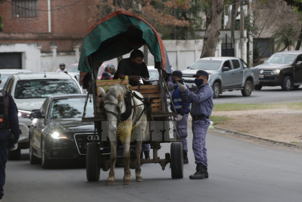 resistencia2.jpg