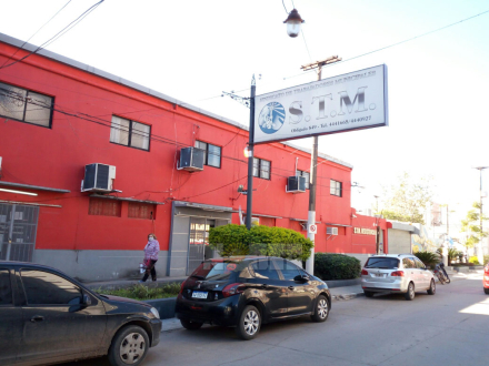 stm02.jpg