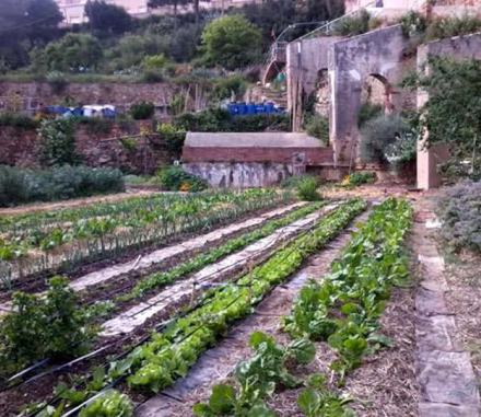 huerta2.jpg